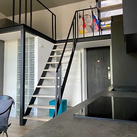 G - Owl Jazz -modern Loft Type 18 With Big Roof Terrace And Free Private Parking 考纳斯