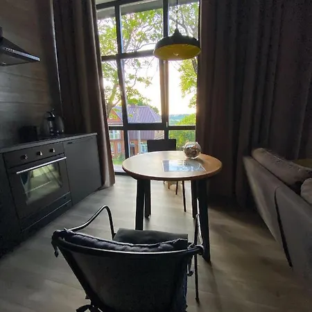 G - Owl Jazz -modern Loft Type 18 With Big Roof Terrace And Free Private Parking * 考纳斯